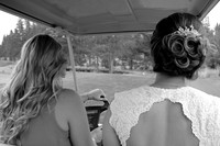 The First Look